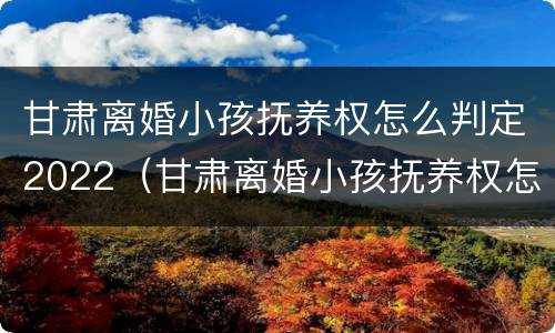 甘肃离婚小孩抚养权怎么判定2022（甘肃离婚小孩抚养权怎么判定2022年的）