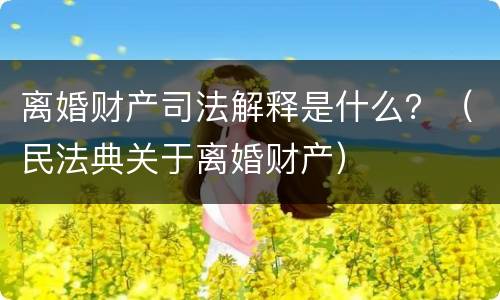 离婚财产司法解释是什么？（民法典关于离婚财产）