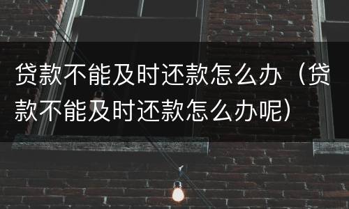 贷款不能及时还款怎么办（贷款不能及时还款怎么办呢）