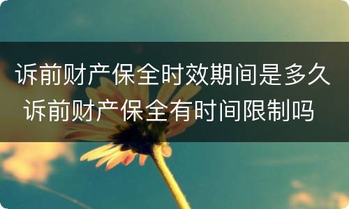 诉前财产保全时效期间是多久 诉前财产保全有时间限制吗