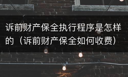 诉前财产保全执行程序是怎样的（诉前财产保全如何收费）