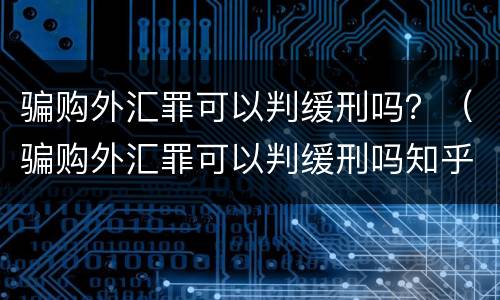 骗购外汇罪可以判缓刑吗？（骗购外汇罪可以判缓刑吗知乎）