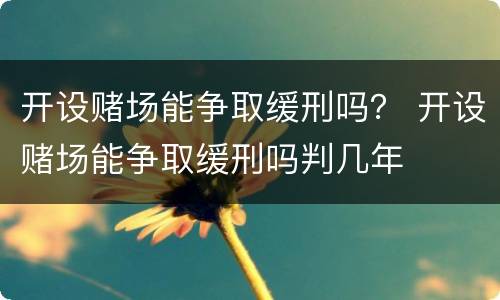 开设赌场能争取缓刑吗？ 开设赌场能争取缓刑吗判几年