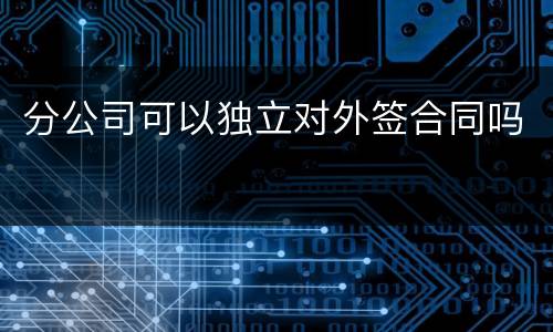 分公司可以独立对外签合同吗