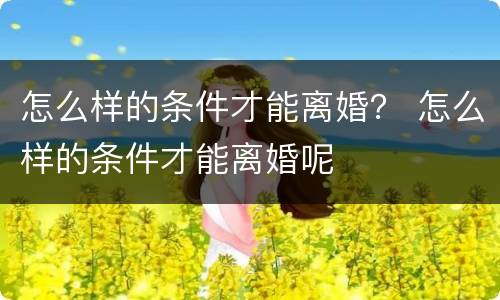 怎么样的条件才能离婚？ 怎么样的条件才能离婚呢