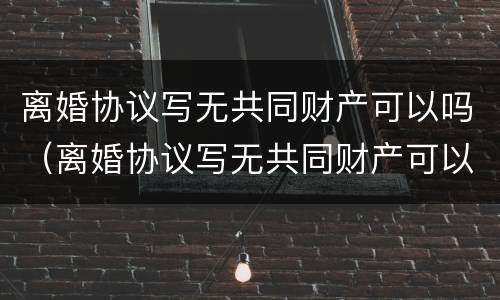 离婚协议写无共同财产可以吗（离婚协议写无共同财产可以吗）