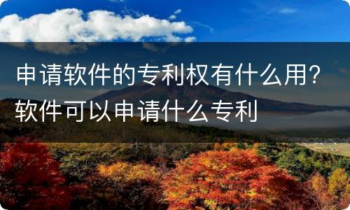 申请软件的专利权有什么用? 软件可以申请什么专利