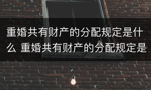 重婚共有财产的分配规定是什么 重婚共有财产的分配规定是什么法律