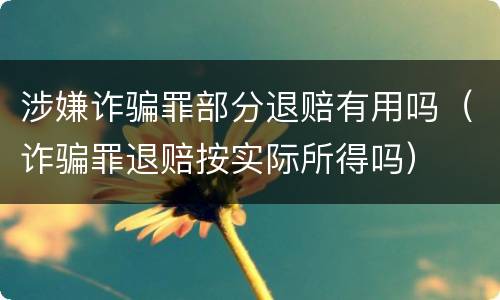涉嫌诈骗罪部分退赔有用吗（诈骗罪退赔按实际所得吗）