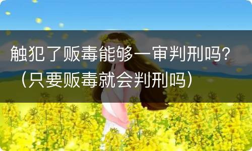 触犯了贩毒能够一审判刑吗？（只要贩毒就会判刑吗）