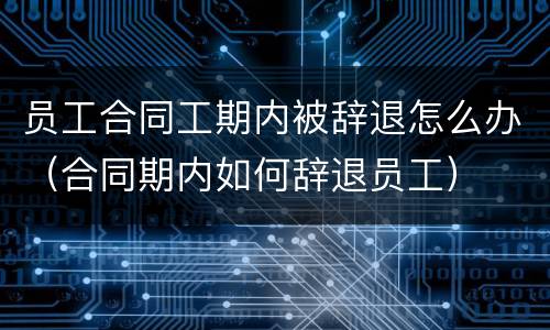 员工合同工期内被辞退怎么办（合同期内如何辞退员工）