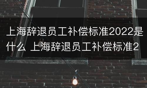 上海辞退员工补偿标准2022是什么 上海辞退员工补偿标准2022是什么时候发