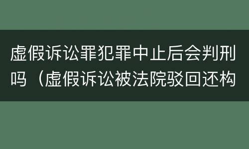 虚假诉讼罪犯罪中止后会判刑吗（虚假诉讼被法院驳回还构成犯罪吗）