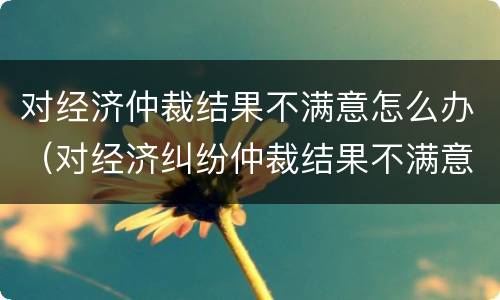 对经济仲裁结果不满意怎么办（对经济纠纷仲裁结果不满意应该怎么办）