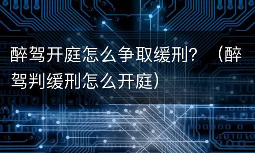 醉驾开庭怎么争取缓刑？（醉驾判缓刑怎么开庭）