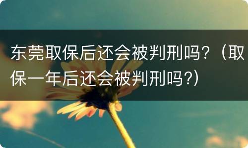 东莞取保后还会被判刑吗?（取保一年后还会被判刑吗?）