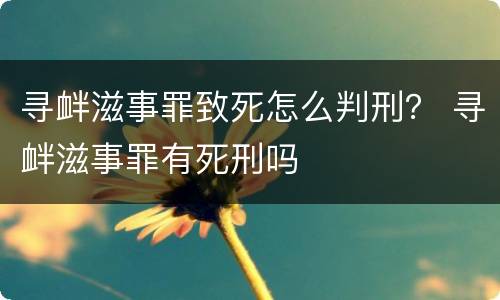寻衅滋事罪致死怎么判刑？ 寻衅滋事罪有死刑吗