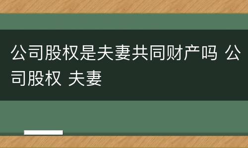 公司股权是夫妻共同财产吗 公司股权 夫妻