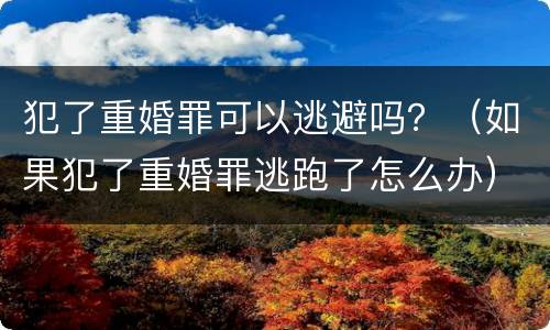 犯了重婚罪可以逃避吗？（如果犯了重婚罪逃跑了怎么办）