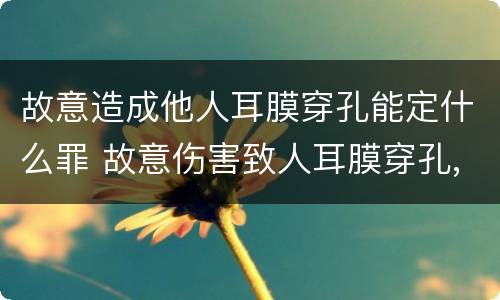 故意造成他人耳膜穿孔能定什么罪 故意伤害致人耳膜穿孔,怎么判