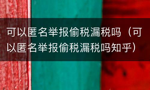 可以匿名举报偷税漏税吗（可以匿名举报偷税漏税吗知乎）