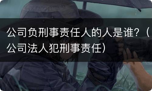 公司负刑事责任人的人是谁?（公司法人犯刑事责任）