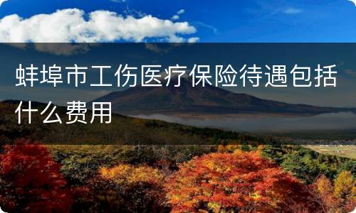蚌埠市工伤医疗保险待遇包括什么费用