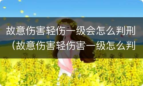 故意伤害轻伤一级会怎么判刑（故意伤害轻伤害一级怎么判刑）