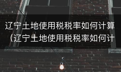 辽宁土地使用税税率如何计算（辽宁土地使用税税率如何计算的）