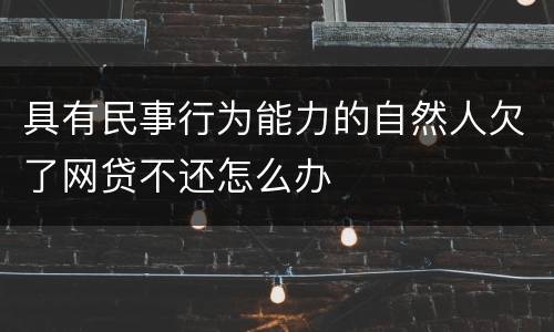具有民事行为能力的自然人欠了网贷不还怎么办