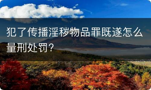 犯了传播淫秽物品罪既遂怎么量刑处罚?