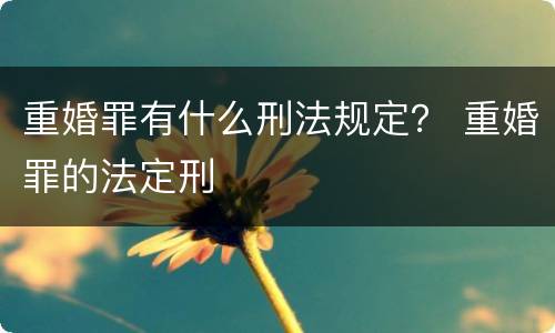 重婚罪有什么刑法规定？ 重婚罪的法定刑
