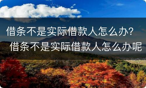 借条不是实际借款人怎么办？ 借条不是实际借款人怎么办呢