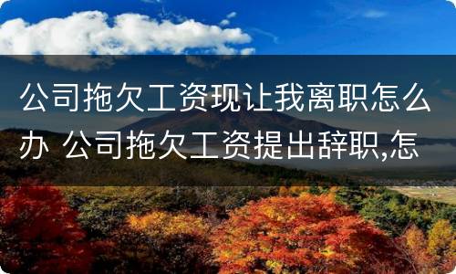 公司拖欠工资现让我离职怎么办 公司拖欠工资提出辞职,怎么赔偿
