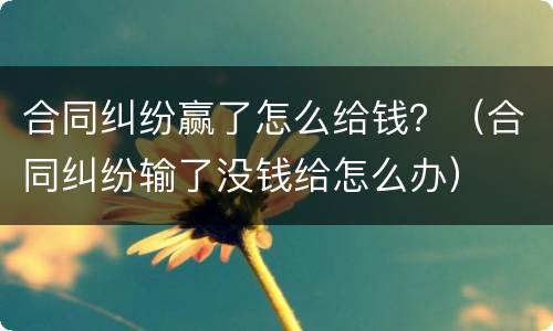 合同纠纷赢了怎么给钱？（合同纠纷输了没钱给怎么办）