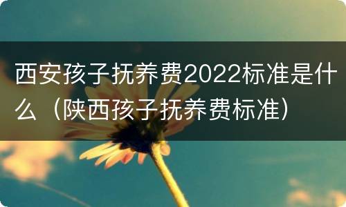 西安孩子抚养费2022标准是什么（陕西孩子抚养费标准）