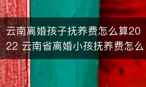 云南离婚孩子抚养费怎么算2022 云南省离婚小孩抚养费怎么算