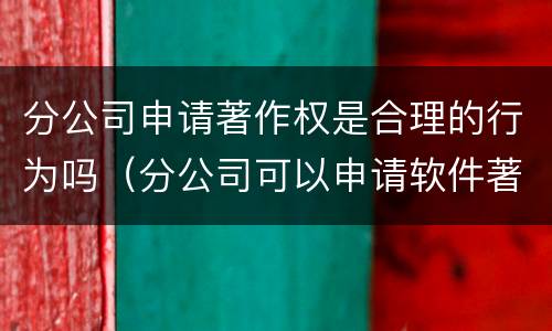 分公司申请著作权是合理的行为吗（分公司可以申请软件著作权吗）