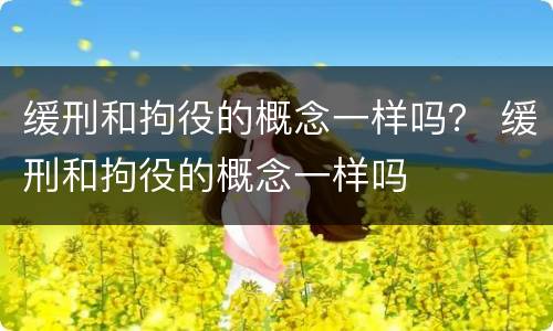 缓刑和拘役的概念一样吗？ 缓刑和拘役的概念一样吗