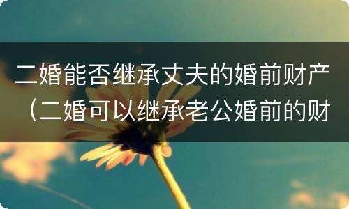 二婚能否继承丈夫的婚前财产（二婚可以继承老公婚前的财产吗）