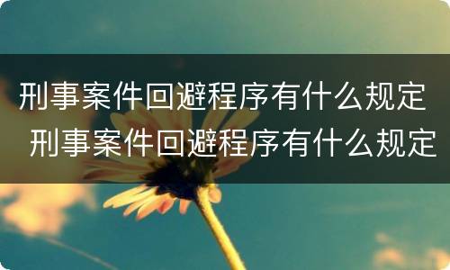 刑事案件回避程序有什么规定 刑事案件回避程序有什么规定嘛