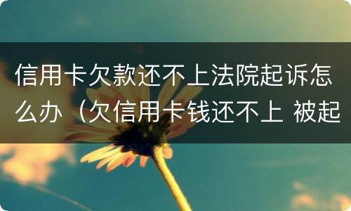 信用卡欠款还不上法院起诉怎么办（欠信用卡钱还不上 被起诉了 怎么办）