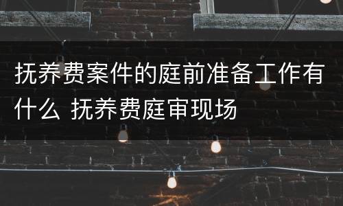 抚养费案件的庭前准备工作有什么 抚养费庭审现场