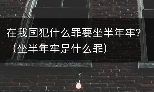 在我国犯什么罪要坐半年牢？（坐半年牢是什么罪）