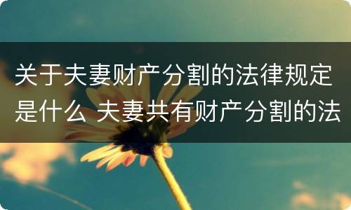 关于夫妻财产分割的法律规定是什么 夫妻共有财产分割的法律规定