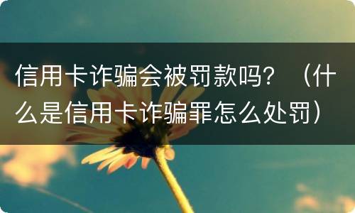 信用卡诈骗会被罚款吗？（什么是信用卡诈骗罪怎么处罚）
