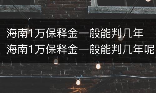 海南1万保释金一般能判几年 海南1万保释金一般能判几年呢