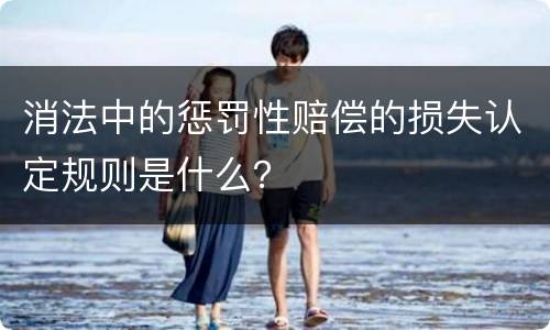 消法中的惩罚性赔偿的损失认定规则是什么？