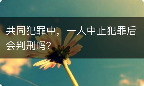 共同犯罪中，一人中止犯罪后会判刑吗？