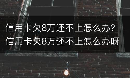 信用卡欠8万还不上怎么办？ 信用卡欠8万还不上怎么办呀